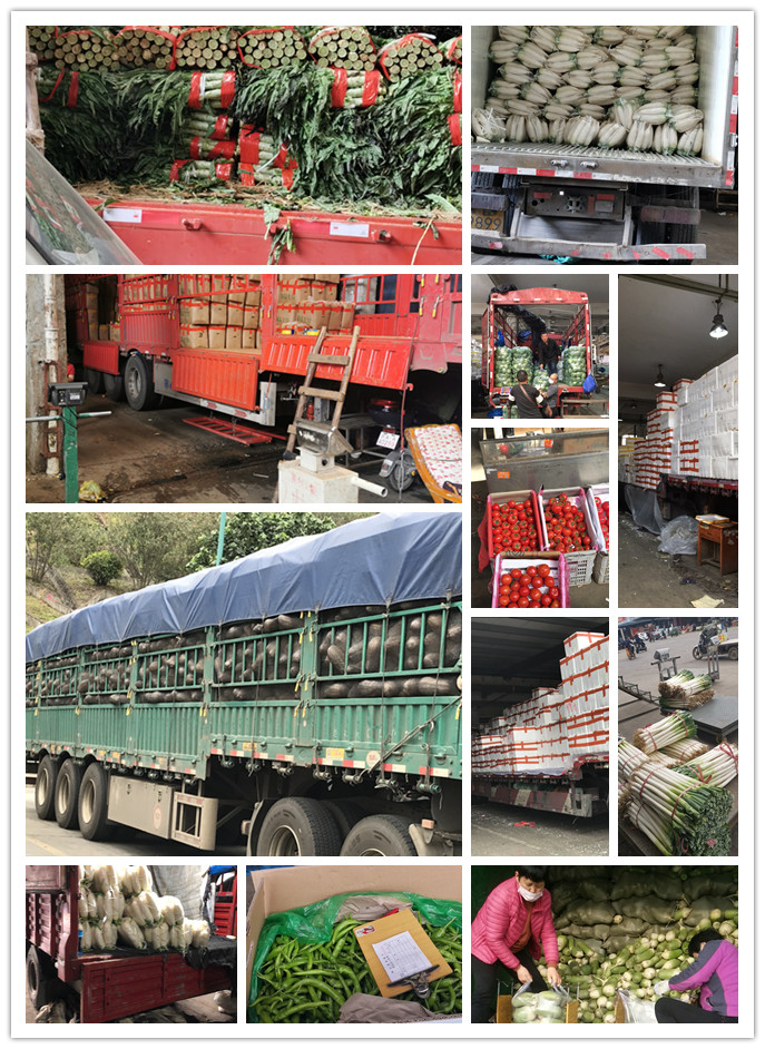 Z6���������ǲ�(�й���)���޹�˾����