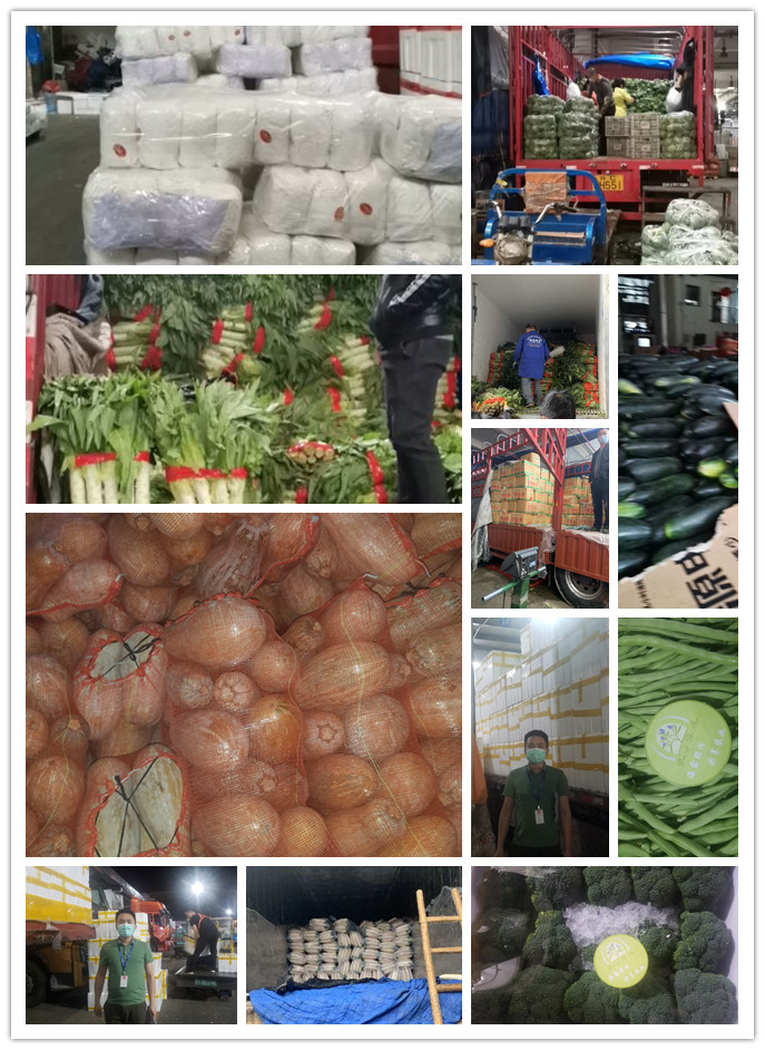 Z6���������ǲ�(�й���)���޹�˾����