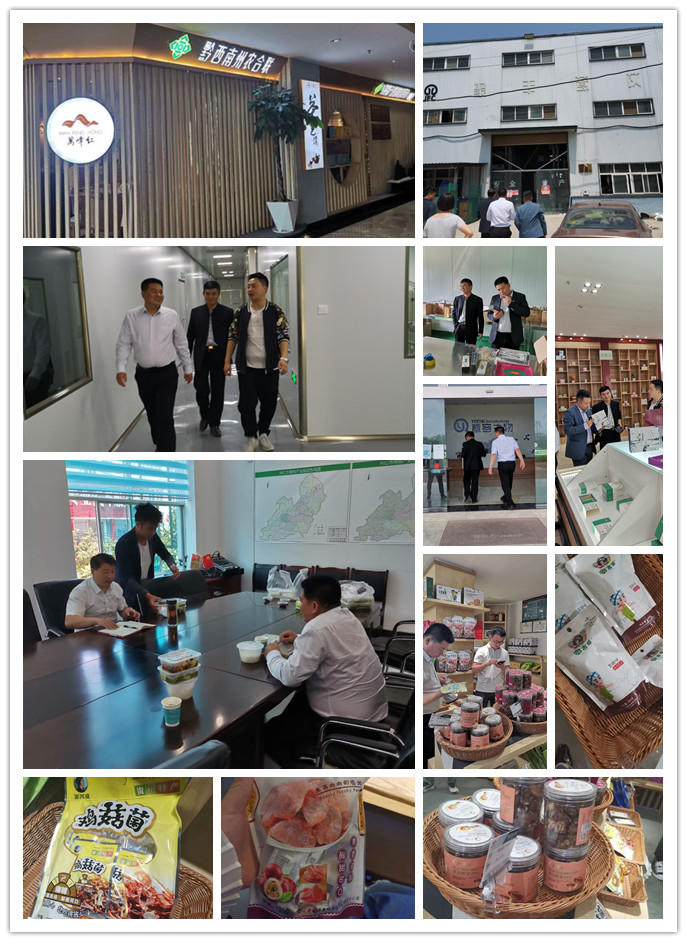 Z6���������ǲ�(�й���)���޹�˾����