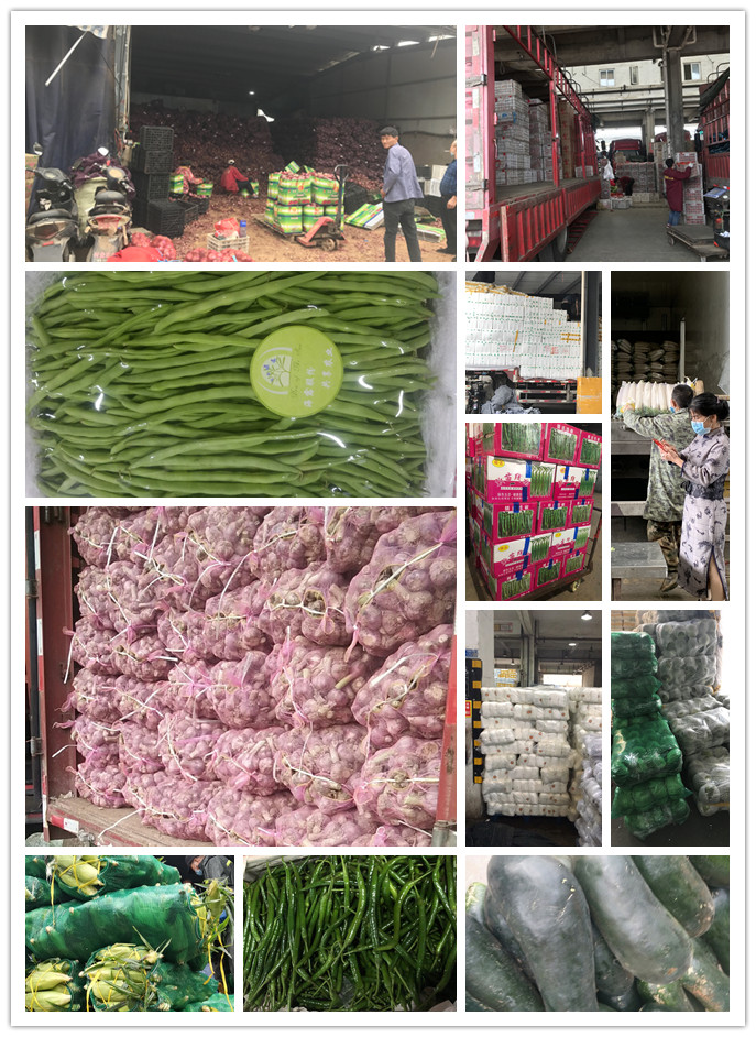 Z6���������ǲ�(�й���)���޹�˾����