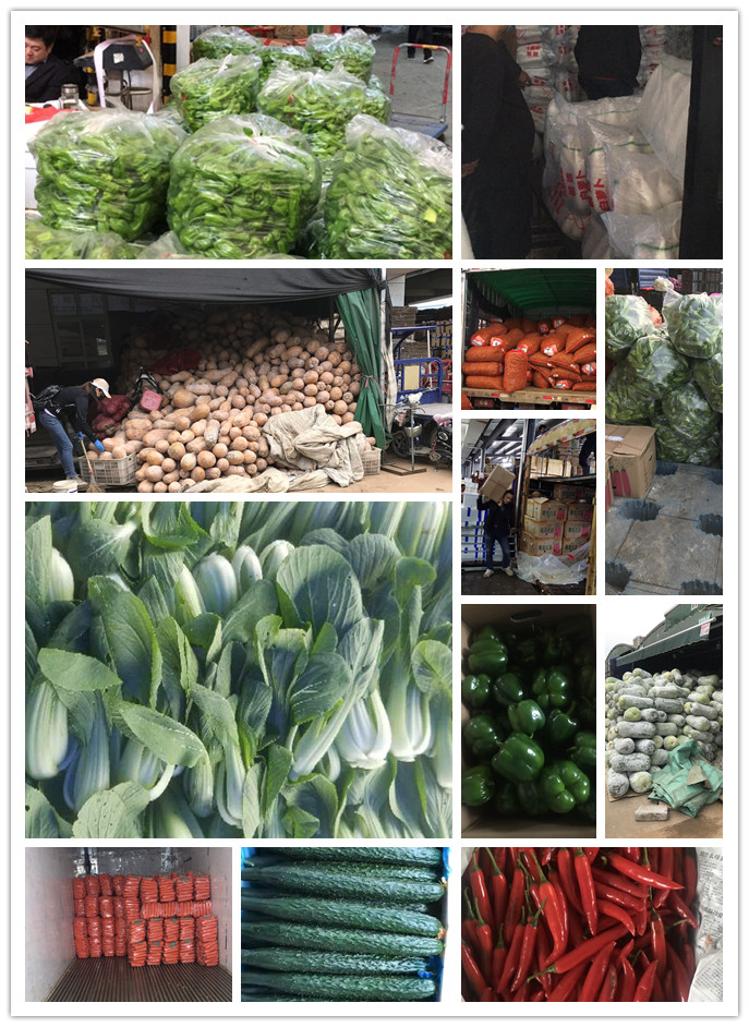 Z6���������ǲ�(�й���)���޹�˾����