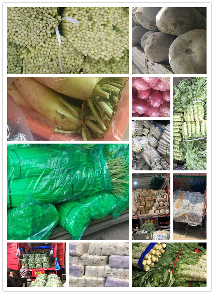 Z6���������ǲ�(�й���)���޹�˾����