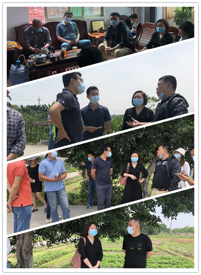 Z6���������ǲ�(�й���)���޹�˾����