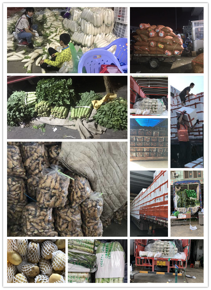 Z6���������ǲ�(�й���)���޹�˾����