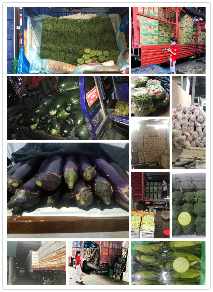 Z6���������ǲ�(�й���)���޹�˾����