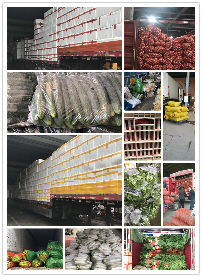 Z6���������ǲ�(�й���)���޹�˾����