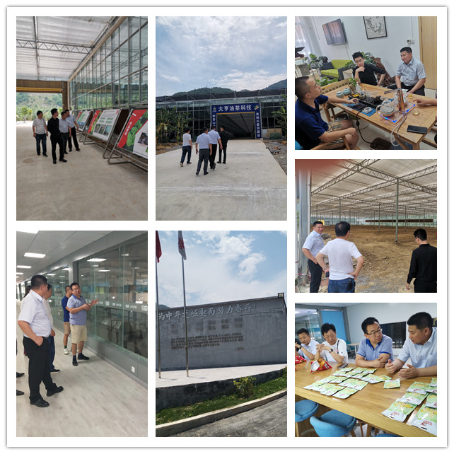 Z6���������ǲ�(�й���)���޹�˾����