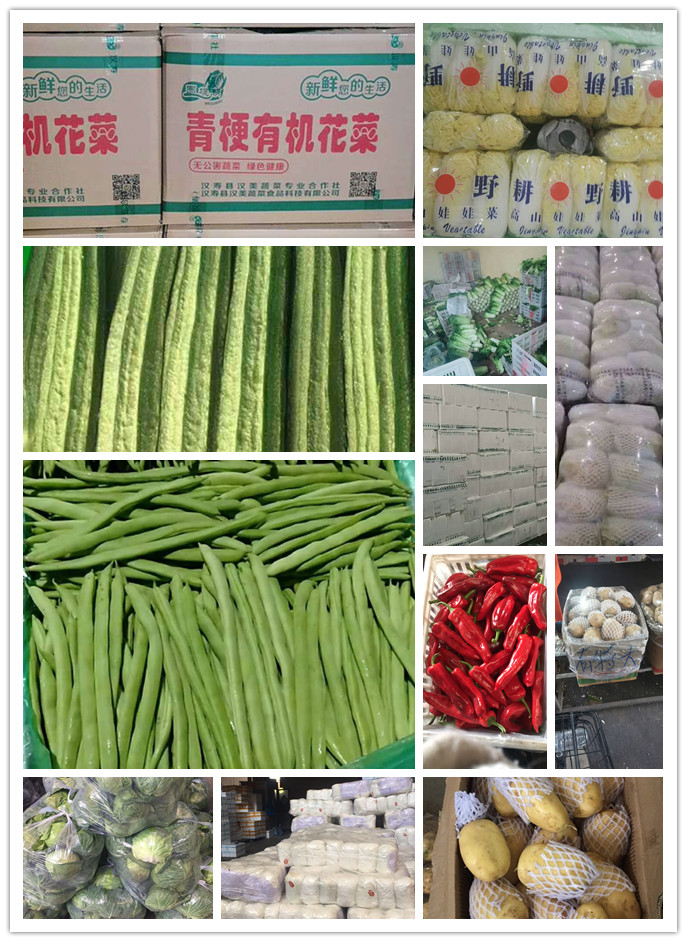 Z6���������ǲ�(�й���)���޹�˾����