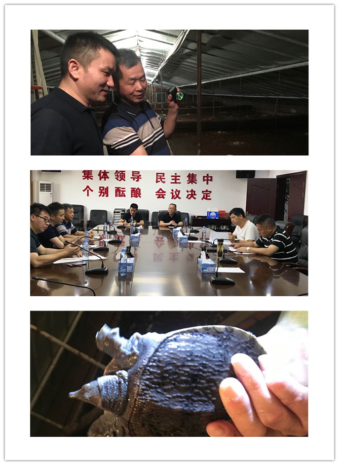 Z6���������ǲ�(�й���)���޹�˾����