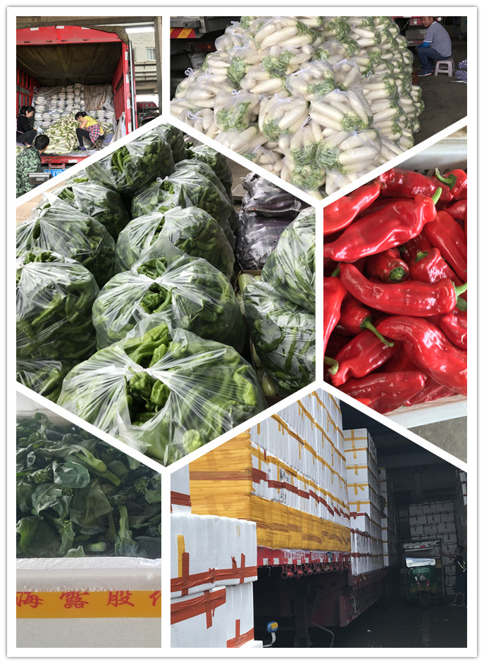 Z6���������ǲ�(�й���)���޹�˾����