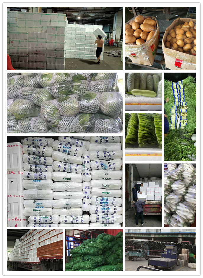 Z6���������ǲ�(�й���)���޹�˾����