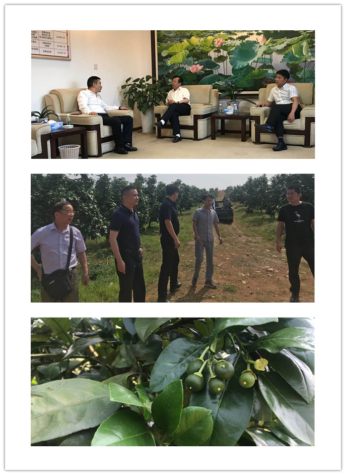 Z6���������ǲ�(�й���)���޹�˾����