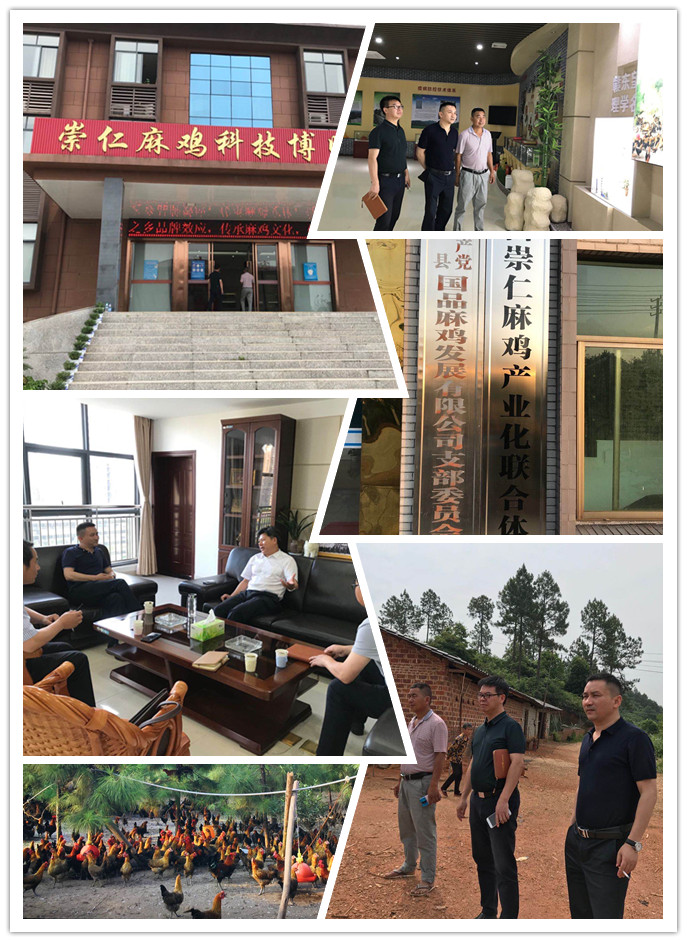 Z6���������ǲ�(�й���)���޹�˾����