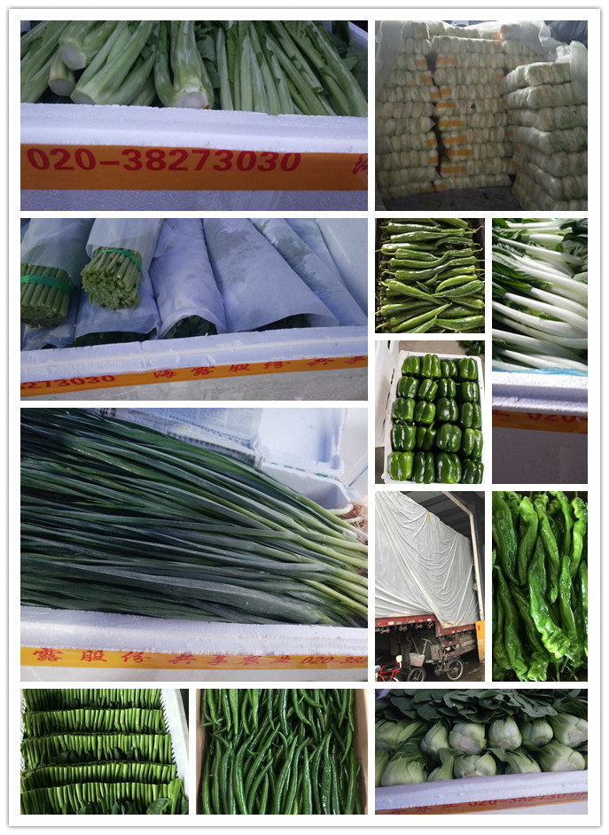 Z6���������ǲ�(�й���)���޹�˾����