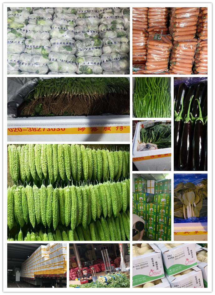 Z6���������ǲ�(�й���)���޹�˾����