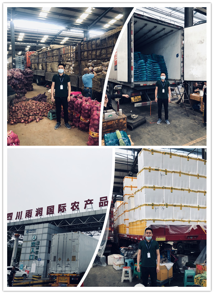 Z6���������ǲ�(�й���)���޹�˾����