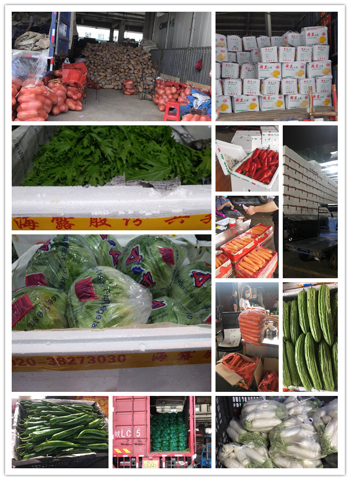 Z6���������ǲ�(�й���)���޹�˾����