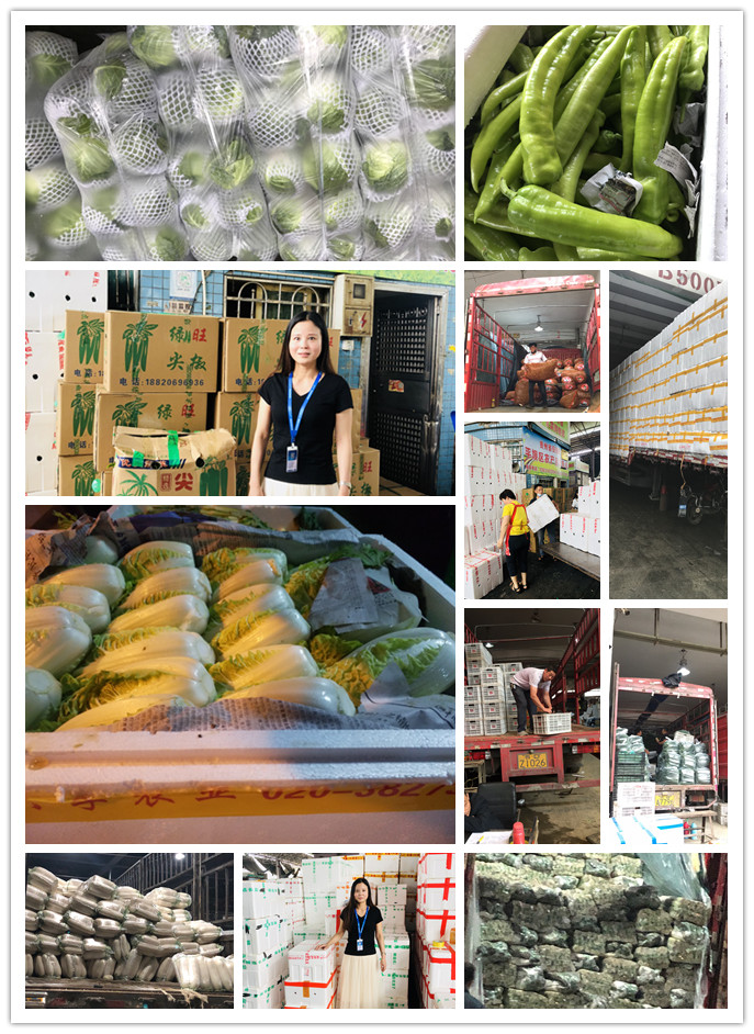 Z6���������ǲ�(�й���)���޹�˾����