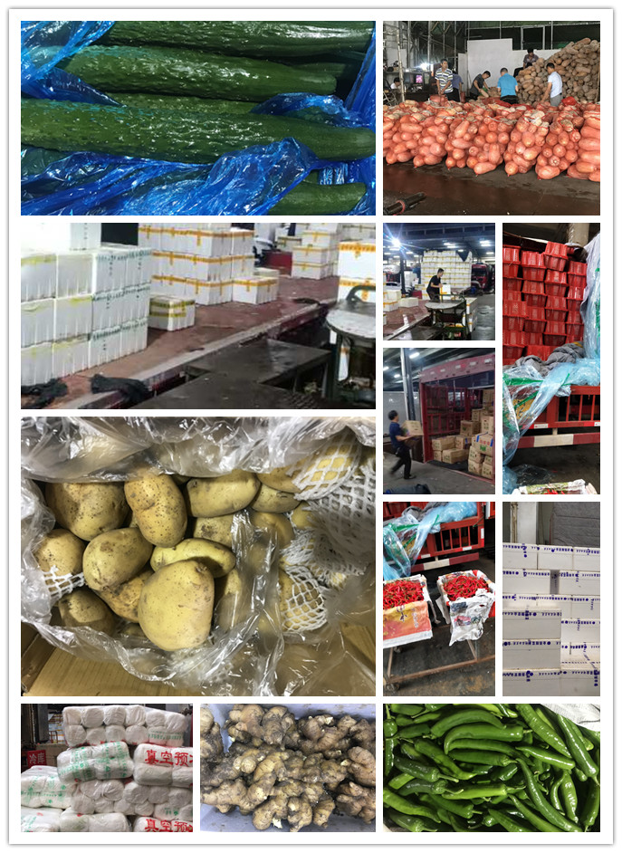 Z6���������ǲ�(�й���)���޹�˾����