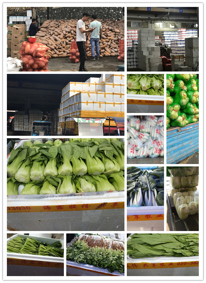 Z6���������ǲ�(�й���)���޹�˾����