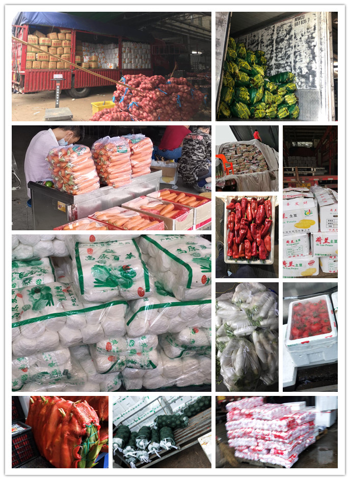 Z6���������ǲ�(�й���)���޹�˾����