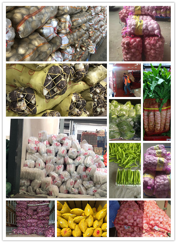 Z6���������ǲ�(�й���)���޹�˾����