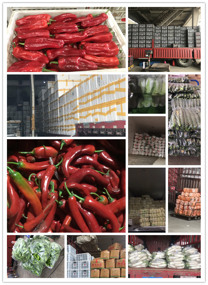 Z6���������ǲ�(�й���)���޹�˾����