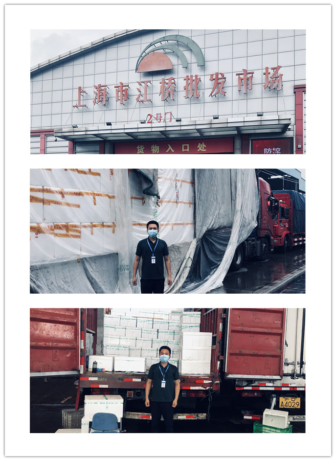 Z6���������ǲ�(�й���)���޹�˾����