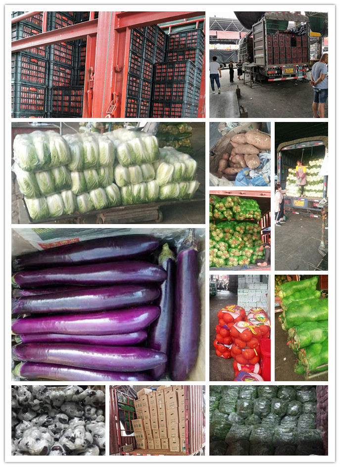 Z6���������ǲ�(�й���)���޹�˾����