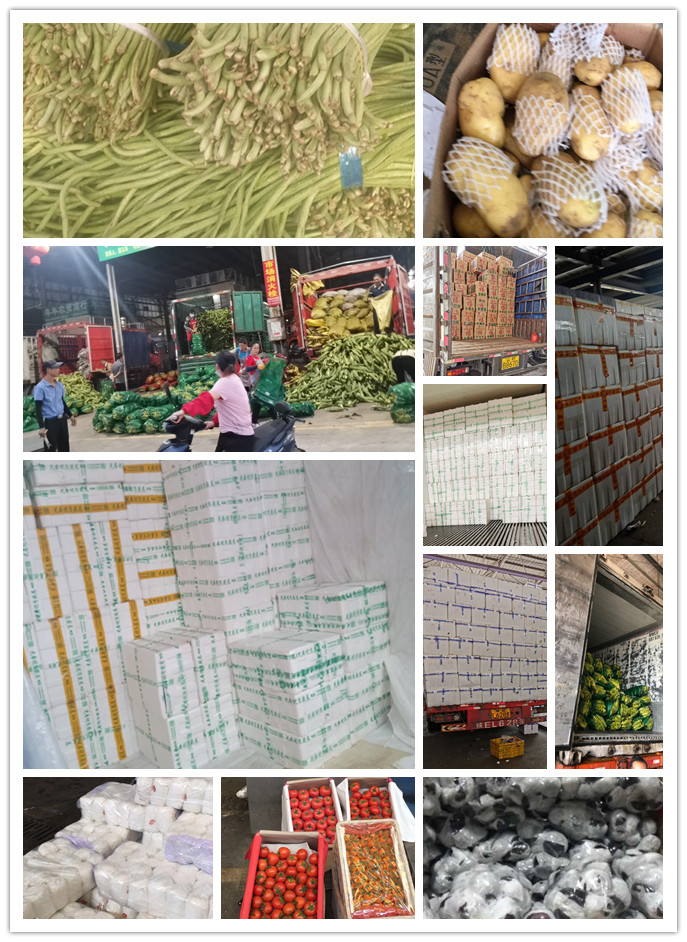 Z6���������ǲ�(�й���)���޹�˾����