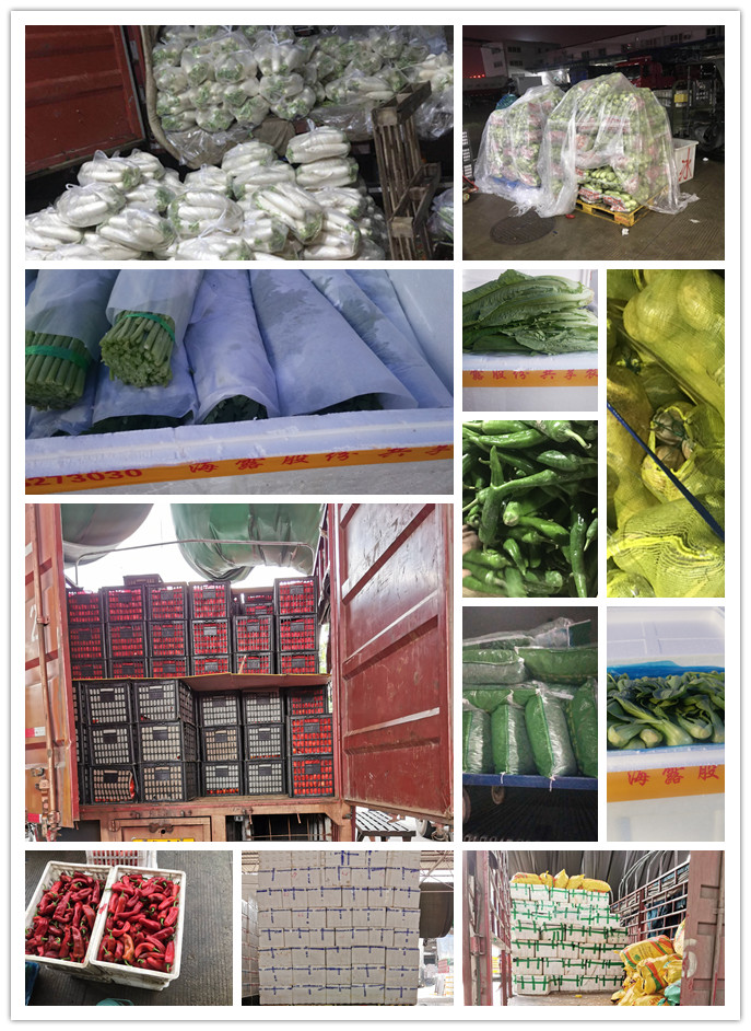 Z6���������ǲ�(�й���)���޹�˾����