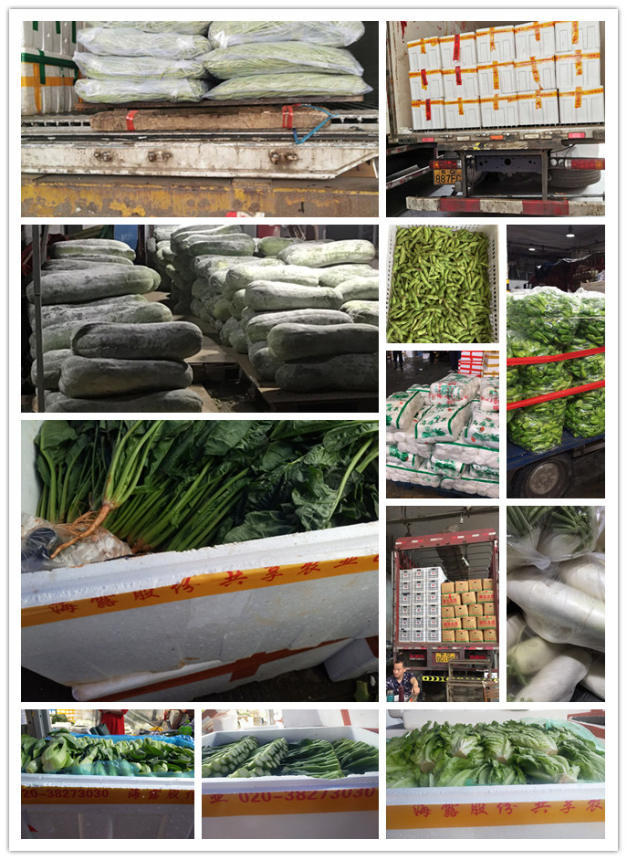 Z6���������ǲ�(�й���)���޹�˾����