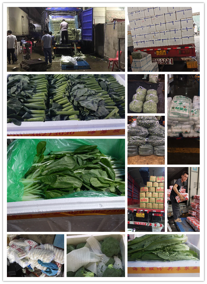 Z6���������ǲ�(�й���)���޹�˾����