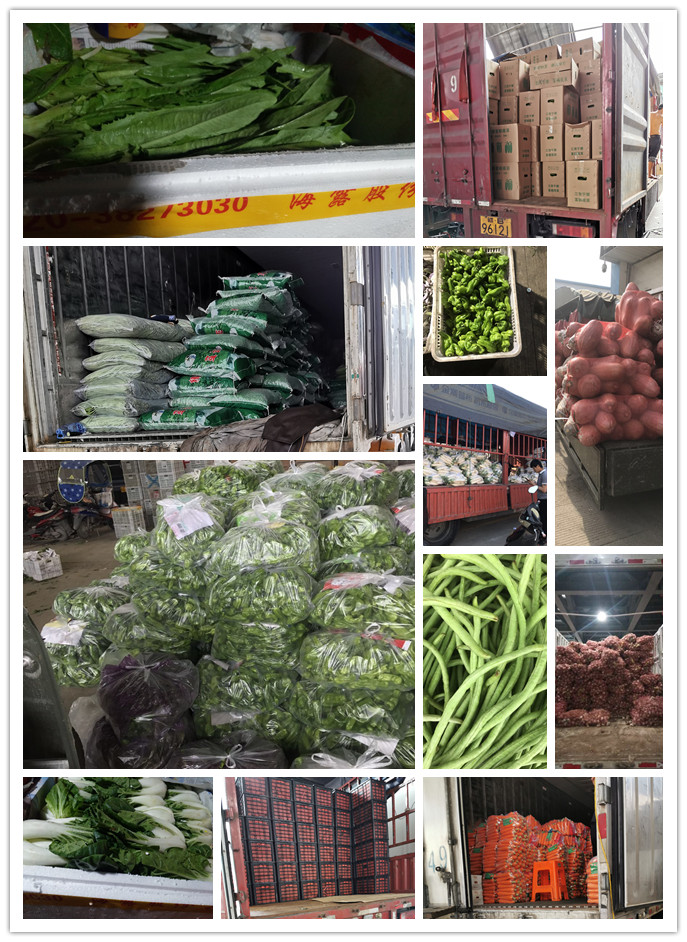 Z6���������ǲ�(�й���)���޹�˾����