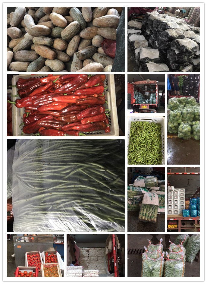 Z6���������ǲ�(�й���)���޹�˾����