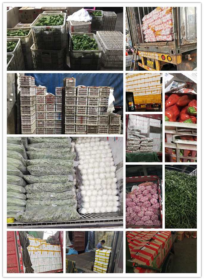 Z6���������ǲ�(�й���)���޹�˾����