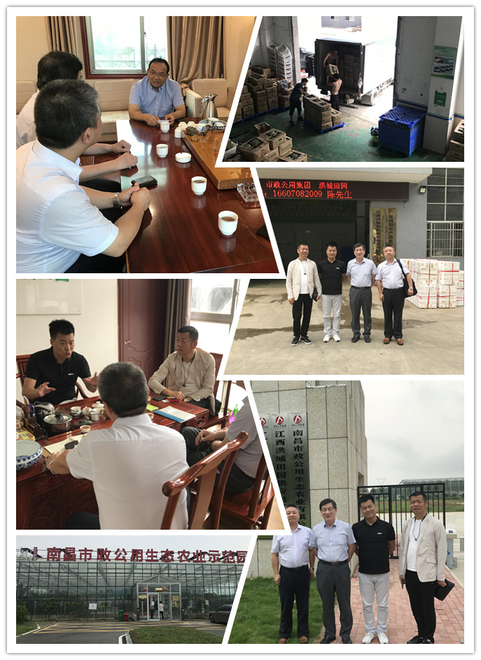 Z6���������ǲ�(�й���)���޹�˾����