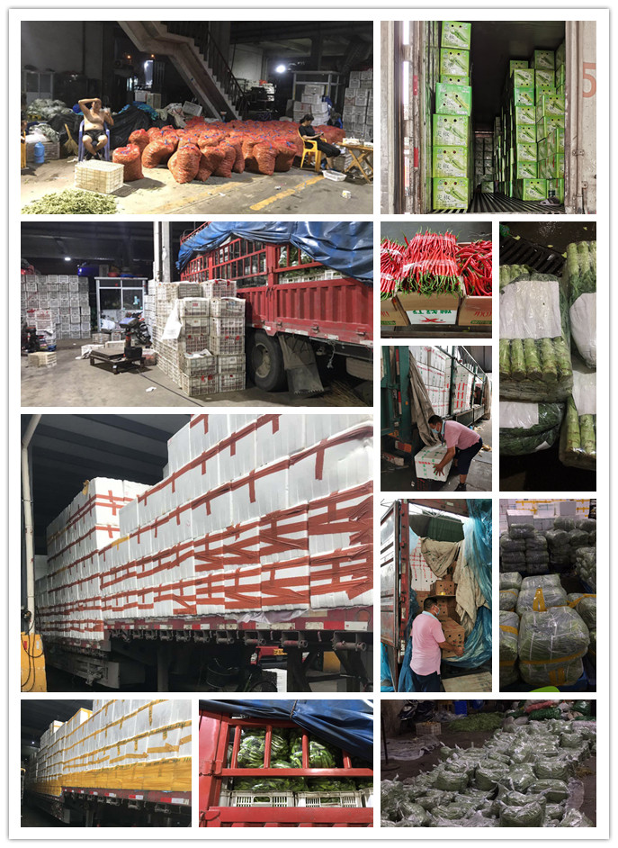 Z6���������ǲ�(�й���)���޹�˾����