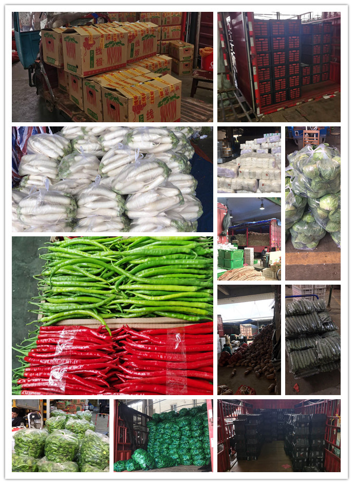 Z6���������ǲ�(�й���)���޹�˾����