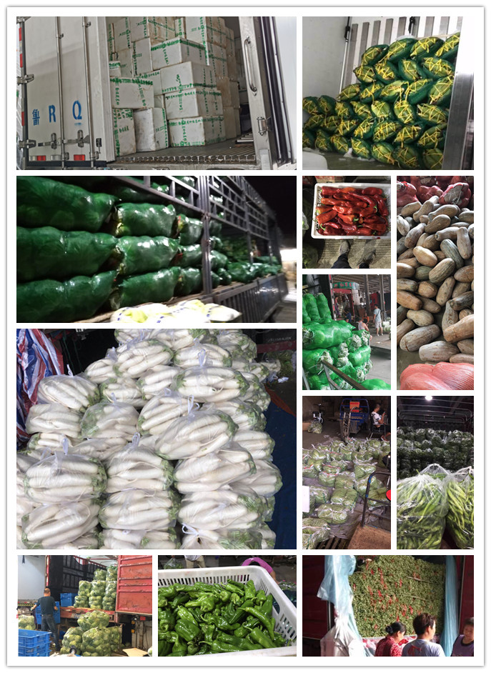 Z6���������ǲ�(�й���)���޹�˾����