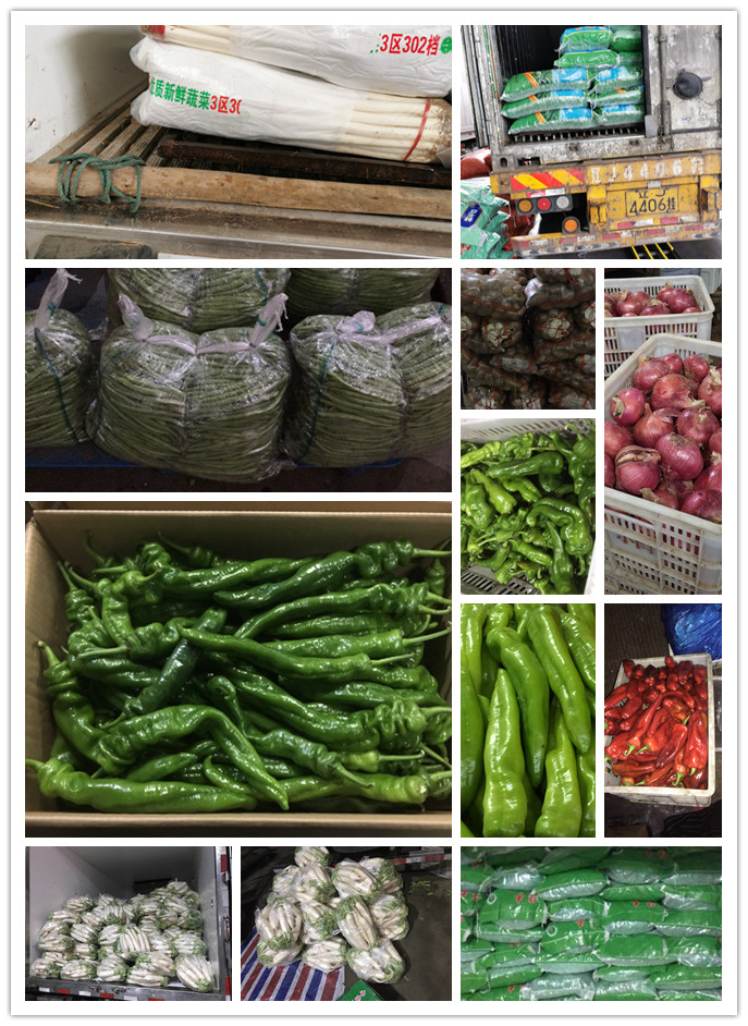 Z6���������ǲ�(�й���)���޹�˾����