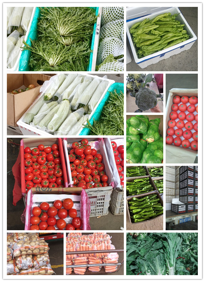 Z6���������ǲ�(�й���)���޹�˾����