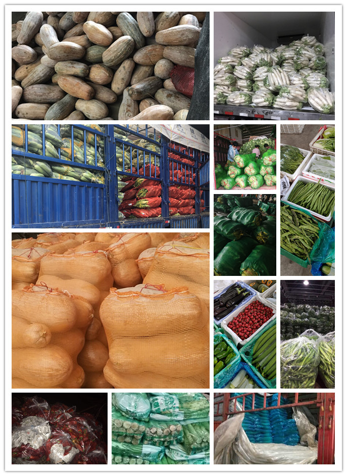 Z6���������ǲ�(�й���)���޹�˾����