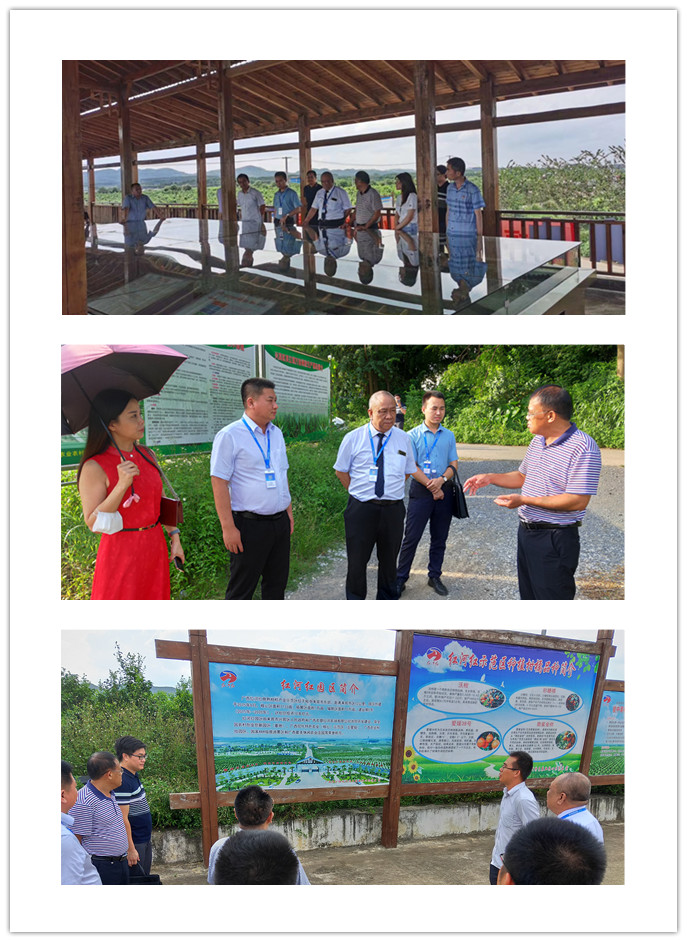 Z6���������ǲ�(�й���)���޹�˾����