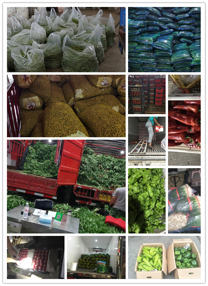 Z6���������ǲ�(�й���)���޹�˾����