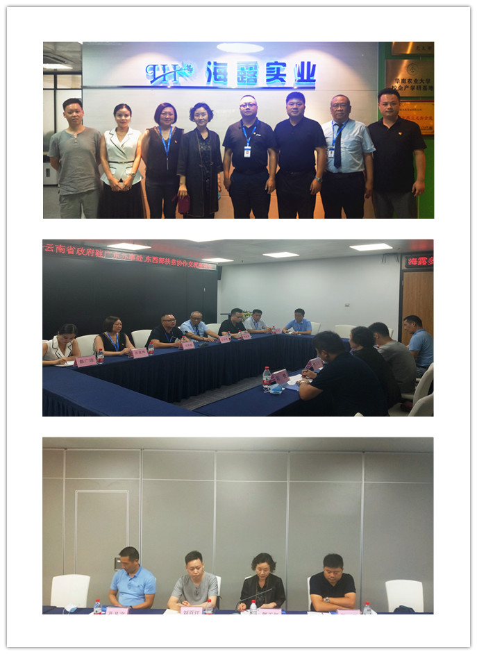 Z6���������ǲ�(�й���)���޹�˾����