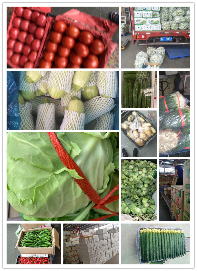 Z6���������ǲ�(�й���)���޹�˾����