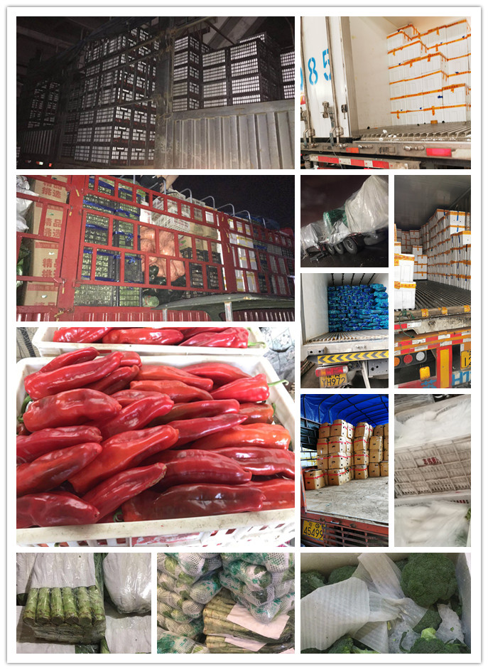 Z6���������ǲ�(�й���)���޹�˾����