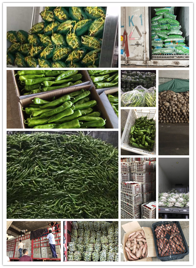 Z6���������ǲ�(�й���)���޹�˾����