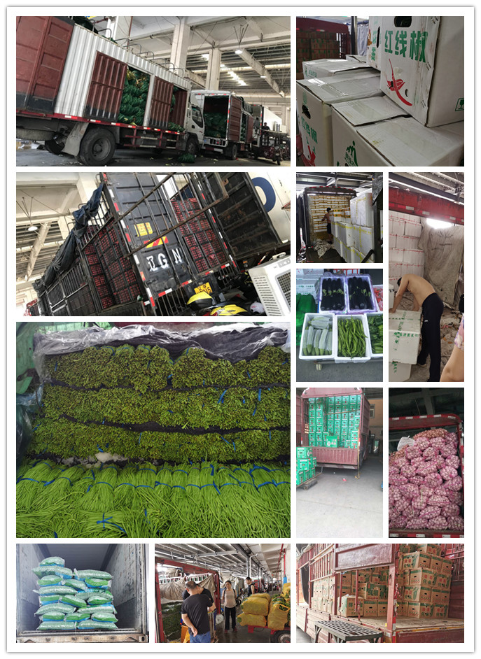 Z6���������ǲ�(�й���)���޹�˾����